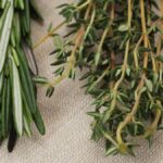 thyme and rosemary